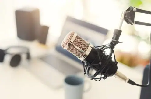 A recording microphone.
