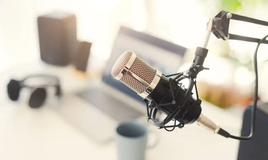 A recording microphone.