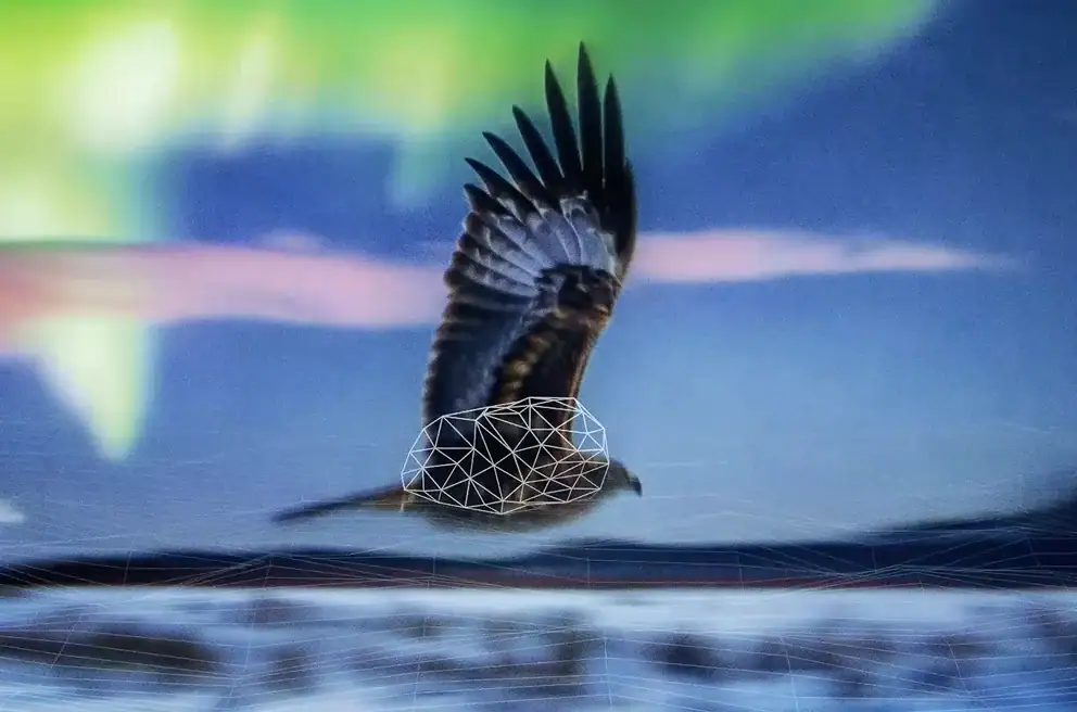 A bird in flight with a geometric wireframe overlay on its body, set against a blurred background of sky and landscape.